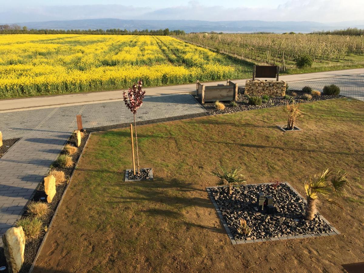 Wohnung 1 Im Kirschbluetenhof Ingelheim am Rhein Exteriör bild